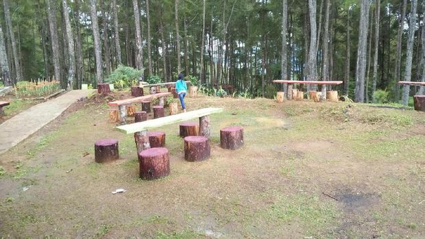 Traveler bisa duduk-duduk di sini (Bona/detikTravel)