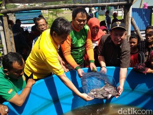 Ini Cara Warga Rusun Romo Kalisari Sejahterakan Hidup