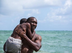 Hitungan Keberhasilan Moonlight Bisa Terulang Tahun Ini?