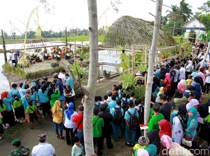 Empat Tahun Banyuwangi Galakkan Festival Sedekah Oksigen