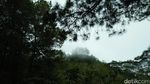 Satu Lagi Spot Instagenic di Toraja