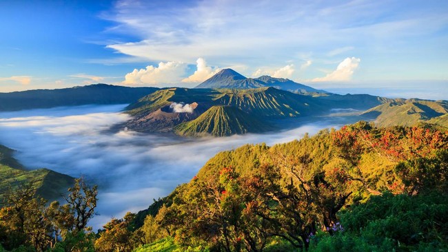 Shio Ayam, Saatnya Nikmati Pemandangan dari Ketinggian