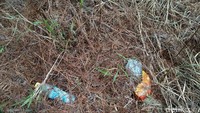 Sayang, alamnya sudah cantik namun ada saja yang masih buang sampah sembarang. Jangan dicontoh ya! (Bonauli/detikTravel)