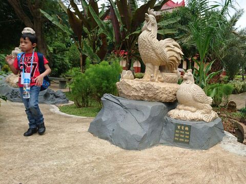 Shio Ayam (Masaul/detikTravel)
