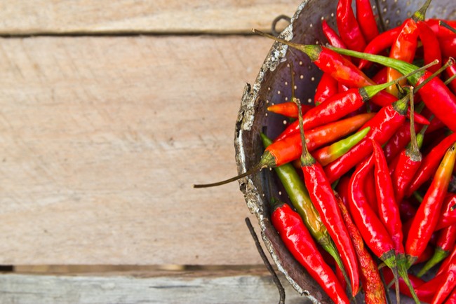 Harga Cabai Mahal? Ikuti Saja Cara Ini untuk Menanam Cabai!