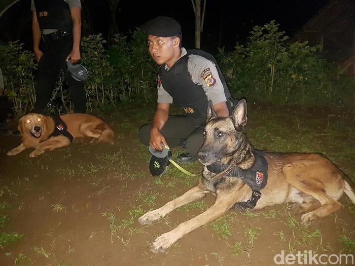 2 Anjing Pelacak Ikut Bantu Cari Tahanan Kabur di Hutan Sukabumi