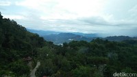 Eksotis, seksi dan mempesona adalah gabungan dari pemandangan di atas Gua Maria (Bonauli/detikTravel)