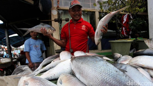 Jelang Imlek, Pedagang Ikan Bandeng Diserbu Warga