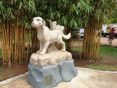 Shio Anjing