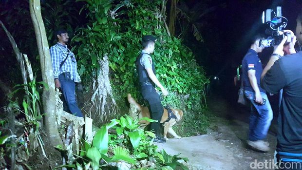 2 Anjing Pelacak Ikut Bantu Cari Tahanan Kabur di Hutan Sukabumi