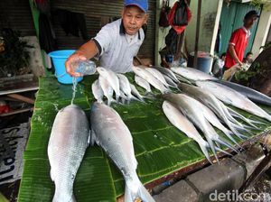 Makna Ikan Bandeng yang Identik dengan Perayaan Imlek