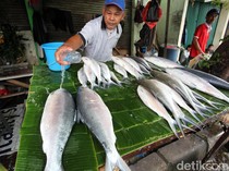 Makna Ikan Bandeng yang Identik dengan Perayaan Imlek