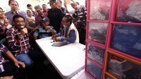 Pengobatan gratis tersebut dilakukan untuk memberikan penyuluhan mengenai hidup sehat serta membantu warga di kawasan sekitar. Pool/Timses Ahok-Djarot