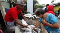 Seorang pembeli nampak memilih beberapa ikan bandeng.