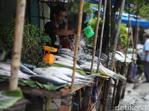 Yuk, Siap-siap Belanja Bandeng untuk Suguhan Imlek!