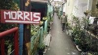 Anda punya mobil imut Morris? Ini juga ada nama gangnya. Foto: Baban Gandapurnama