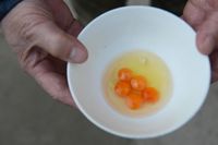 Wanita di China Ini Temukan 5 Kuning Telur dalam Sebutir Telur