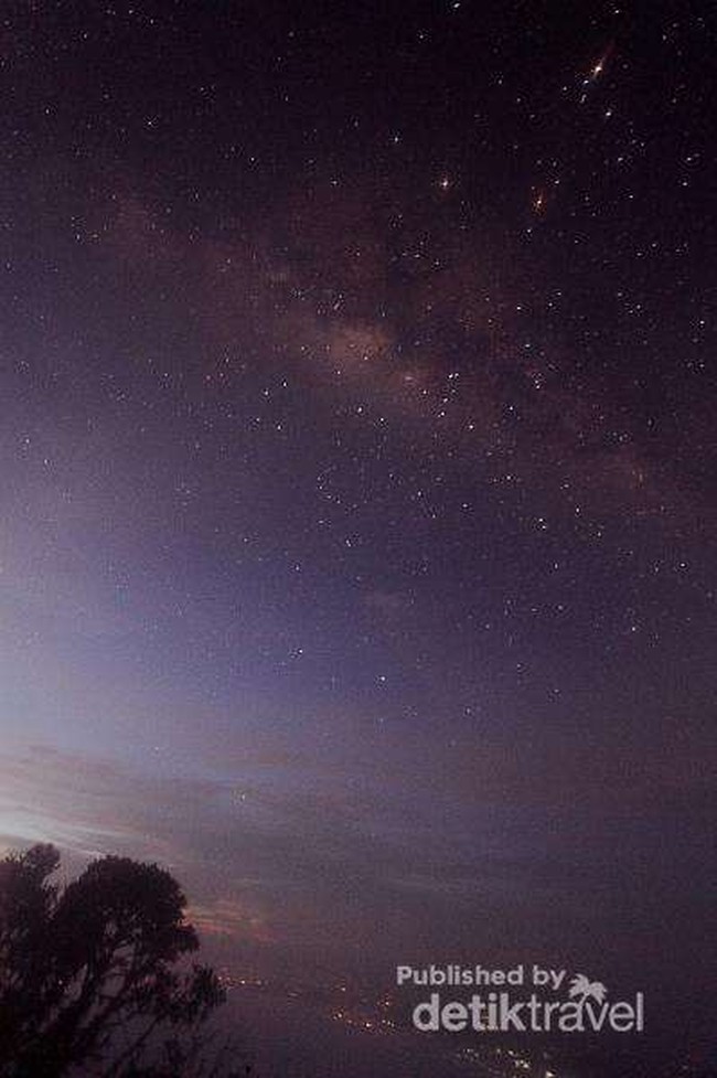 Shio Kerbau, Cocoknya Berlibur Melihat Bintang-Bintang