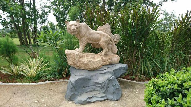 Shio Harimau (Masaul/detikTravel)