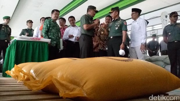 Mentan Amran Tinjau Sentra Pertanian Padi TNI AD di Jombang