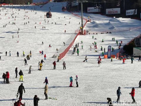 Pesona Salju Abal-abal