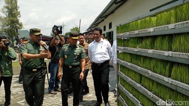 Mentan Amran Tinjau Sentra Pertanian Padi TNI AD di Jombang