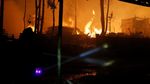 Berjibaku Padamkan Kebakaran Hutan di Chili