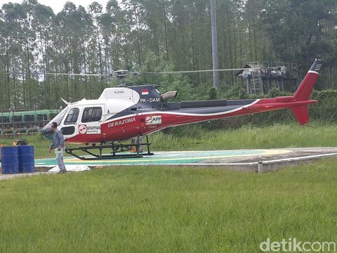 Kisah Pasukan Pemadam Kebakaran Hutan 'Dihadang' Harimau