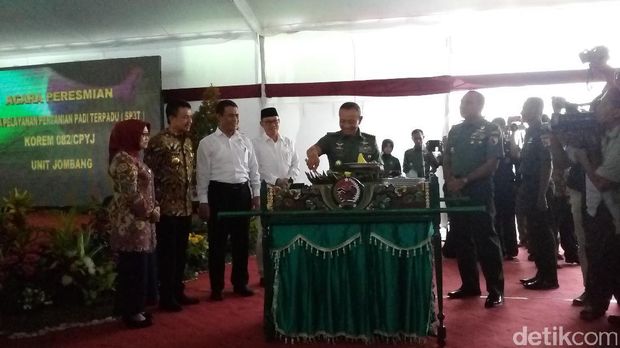 Mentan dan KSAD kunjungi sentra pertanian padi TNI AD di Jombang