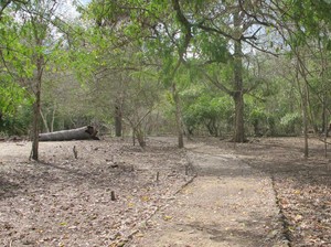 Ini Rute Trekking Valentino Rossi di Pulau Komodo
