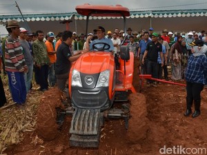 Lamongan Canangkan Kawasan Jagung Modern 10 Ribu Hektar