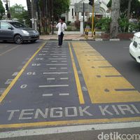 Yuk Main ke Bandung! Lihat Tempat Menyeberang yang Unik Ini