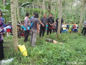 Sesosok Mayat Pria Bercelana Pendek Ditemukan di Perkebunan Desa