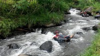 Pengunjung dewasa dibimbing oleh pemandu dari pemuda sekitar sungai menuju lokasi start yang berada di bibir hutan. Rutenya akan melintasi sawah yang membentang hijau hingga sampai di bibir hutan dengan berjalan kaki sekitar 15 menit dari lokasi parkir (Taufiq Huda/detikTravel)