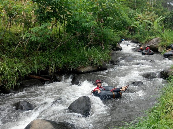 Pengunjung dewasa dibimbing oleh pemandu dari pemuda sekitar sungai menuju lokasi start yang berada di bibir hutan. Rutenya akan melintasi sawah yang membentang hijau hingga sampai di bibir hutan dengan berjalan kaki sekitar 15 menit dari lokasi parkir (Taufiq Huda/detikTravel) Pengunjung dewasa dibimbing oleh pemandu dari pemuda sekitar sungai menuju lokasi start yang berada di bibir hutan. Rutenya akan melintasi sawah yang membentang hijau hingga sampai di bibir hutan dengan berjalan kaki sekitar 15 menit dari lokasi parkir (Taufiq Huda/detikTravel)