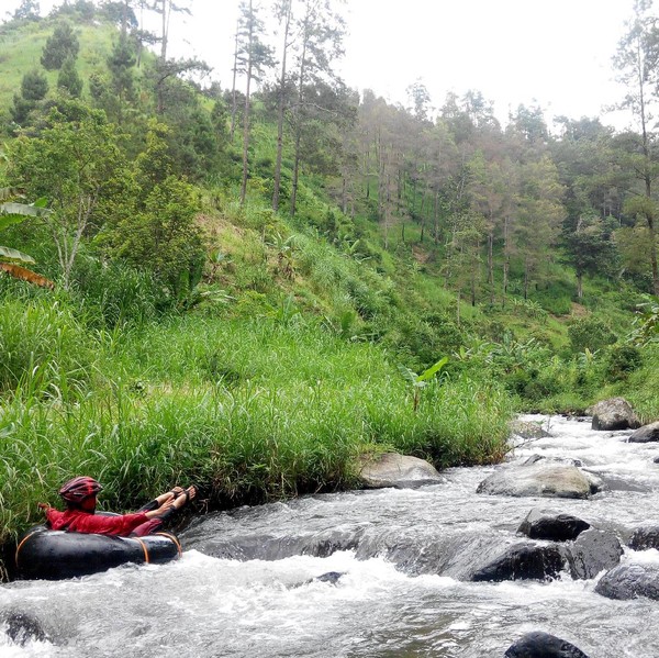 Akses jalan menanjak dan berkelok untuk masuk ke lokasi wisata river tubing, pengunjung hanya dikenai biaya parkir kendaraan dua ribu rupiah. Sementara untuk menikmati wahana river tubing, pengunjung cukup membayar Rp 20.000 sekali jalan (Taufiq Huda/detikTravel) Akses jalan menanjak dan berkelok untuk masuk ke lokasi wisata river tubing, pengunjung hanya dikenai biaya parkir kendaraan dua ribu rupiah. Sementara untuk menikmati wahana river tubing, pengunjung cukup membayar Rp 20.000 sekali jalan (Taufiq Huda/detikTravel)