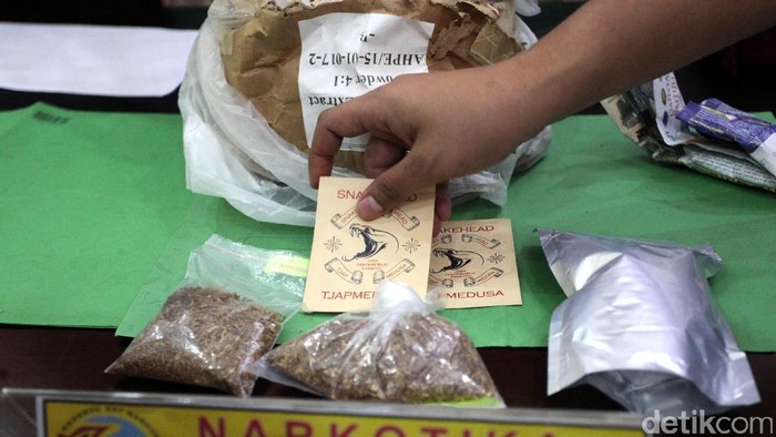 Bisnis Narkotika di RI Bikin Negara Rugi Hingga Rp 63 Triliun/Tahun