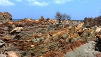 Di Teluk Ciletuh, traveler dapat melihat sisa-sisa bebatuan sebagai buktinya. Batu-batu itu berasal dari dasar samudera (Diah Andrini Dewi/dTraveler)