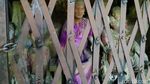 Foto: Makam Toraja yang Dilecehkan Pose Wisatawan