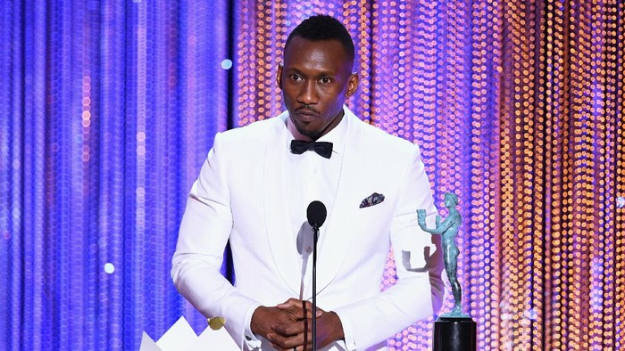 LOS ANGELES, CA - JANUARY 29:  Actor Mahershala Ali accepts Outstanding Performance by a Male Actor in a Supporting Role for Moonlight onstage during The 23rd Annual Screen Actors Guild Awards at The Shrine Auditorium on January 29, 2017 in Los Angeles, California. 26592_014  (Photo by Kevin Winter/Getty Images )