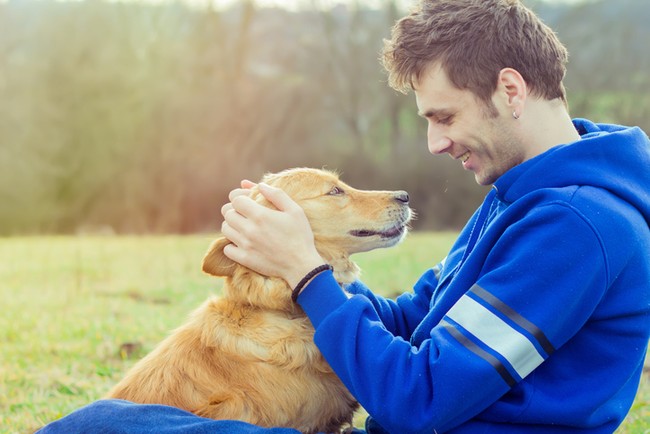 Ini 5 Makanan yang Bisa Anda Nikmati Bersama Anjing Kesayangan