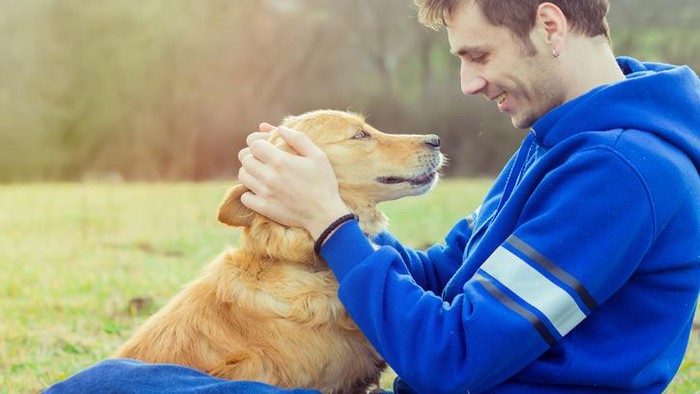 Ini 5 Makanan yang Bisa Anda Nikmati Bersama Anjing Kesayangan 