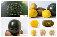 Lebih Ramah Lingkungan, Label Buah Kini Pakai Cetak Laser