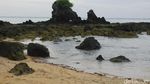 Berayun di Kuta Lombok