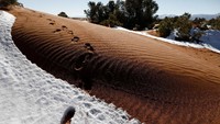 Ini penampakan Gurun Sahara yang diselimuti salju di wilayah Ain Sefra, Aljazair Barat. REUTERS/Zohra Bensemra.
