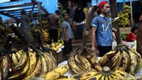 Para pedagang menggelar berbagai jenis pisang.