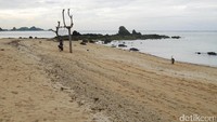 Pantai Kuta masuk dalam kawasan Mandalika yang menjadi 1 dari 10 Destinasi Pariwisata Prioritas pemerintah. Tepatnya, lokasi pantai ada di Desa Kuta, Lombok Tengah, NTB, sekitar 1,5 jam dari Mataram (Kurnia/detikTravel)