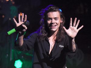 Diduga Tertular Penyakit Seksual dari Koala, Ini Kata Harry Styles