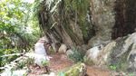 Seram Tapi Instagrammable, Ini Makam Tebing di Toraja