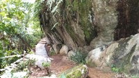Treking di sini cukup membuat traveler berkeringat. Karena jalur dibuat mengikuti bentuk tebing yang naik turun (Bonauli/detikTravel)